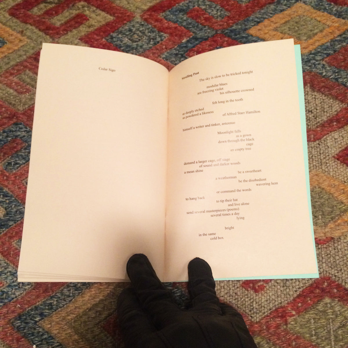 Bronze Chimes: Poems after Alfred Starr Hamilton