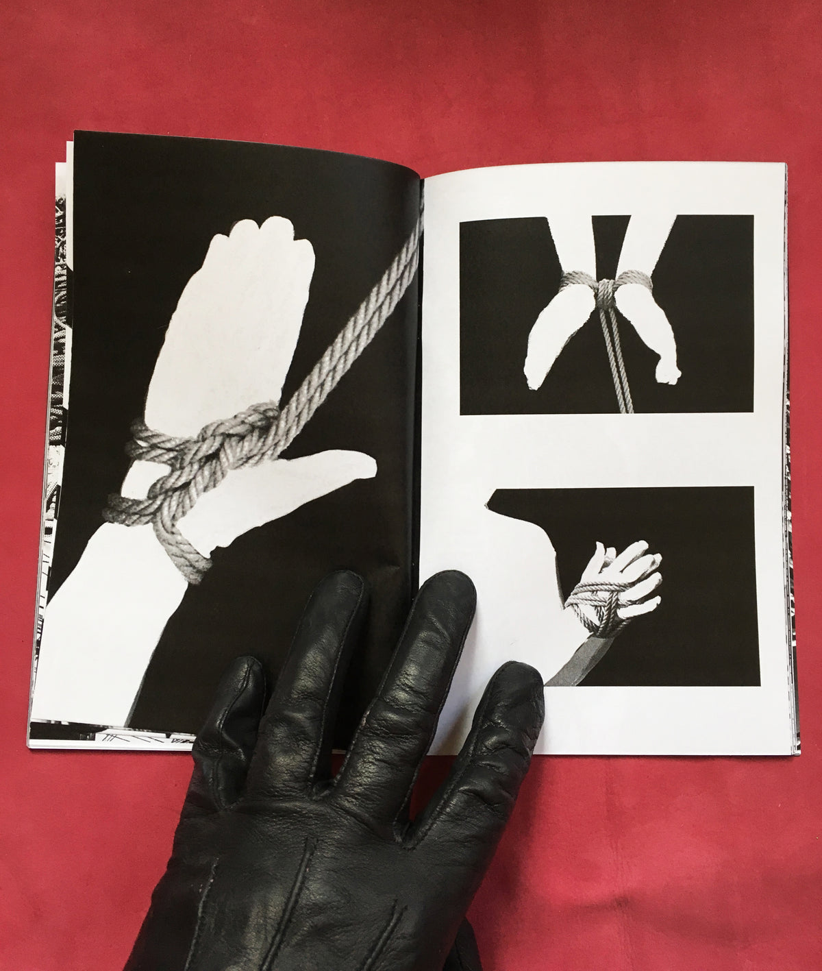 The Range, by Alexa Adams and Flora Gill of Ohne Titel