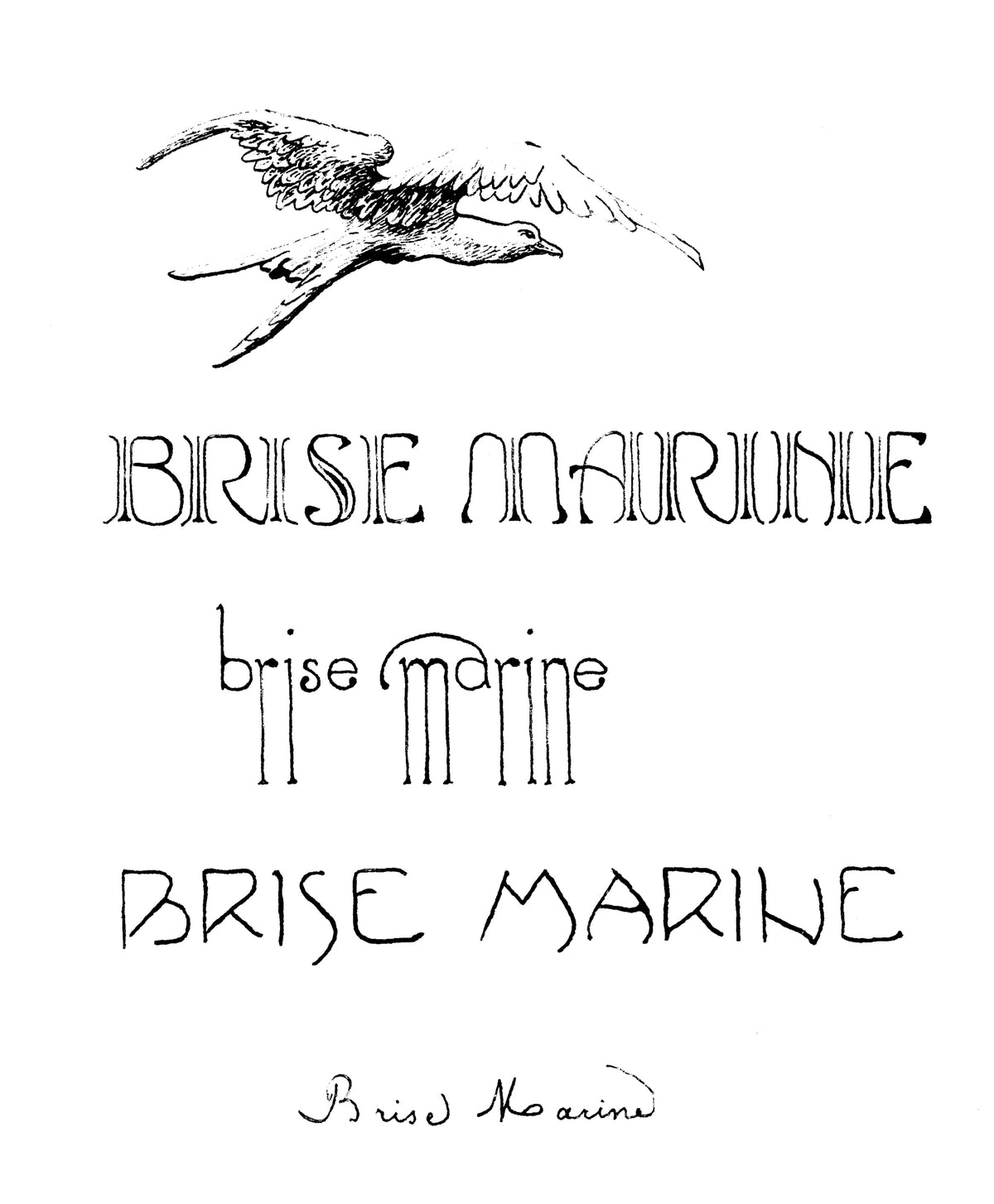 Cedar Sigo - Brise Marine