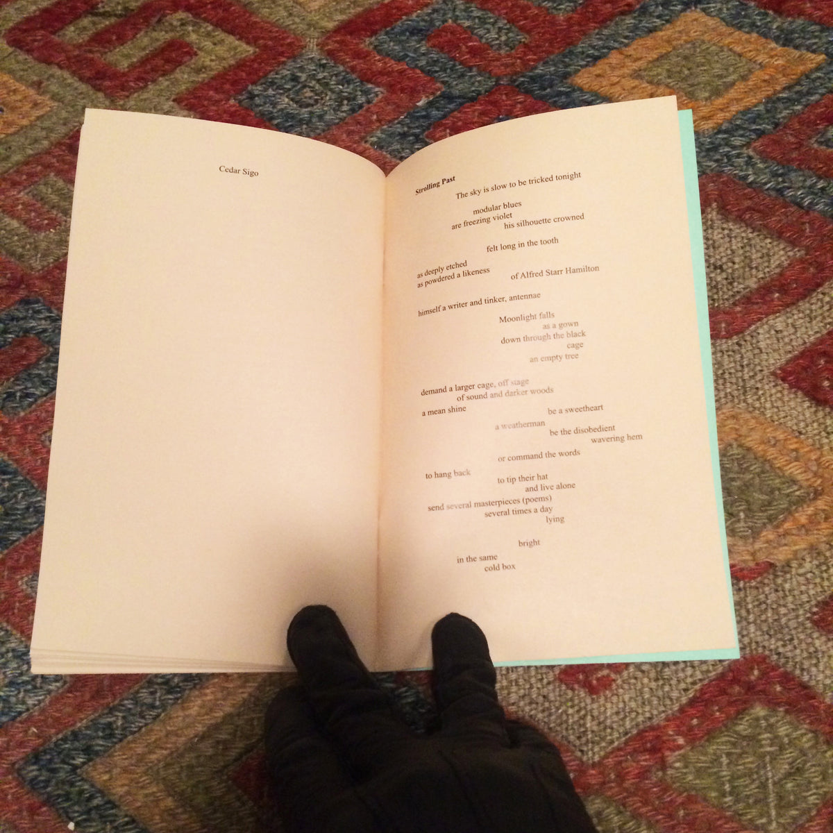 Bronze Chimes: Poems after Alfred Starr Hamilton