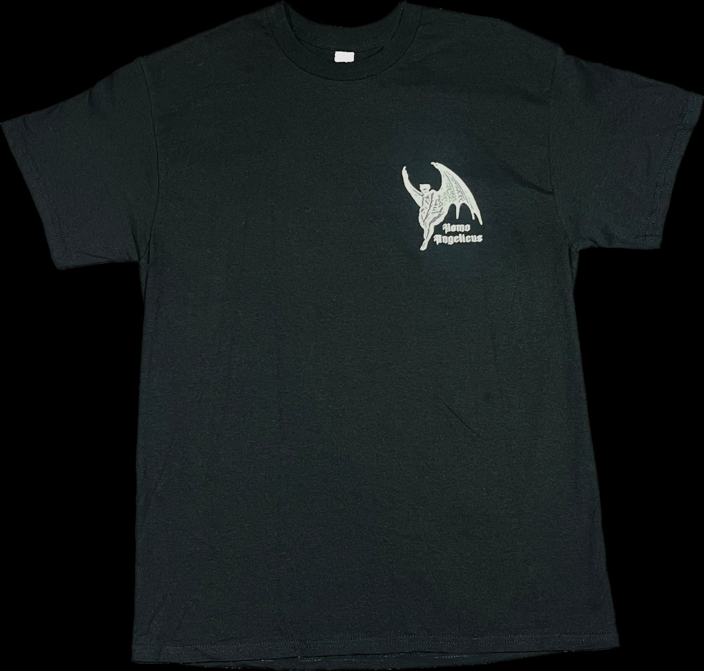 Homo Angelicus T Shirt