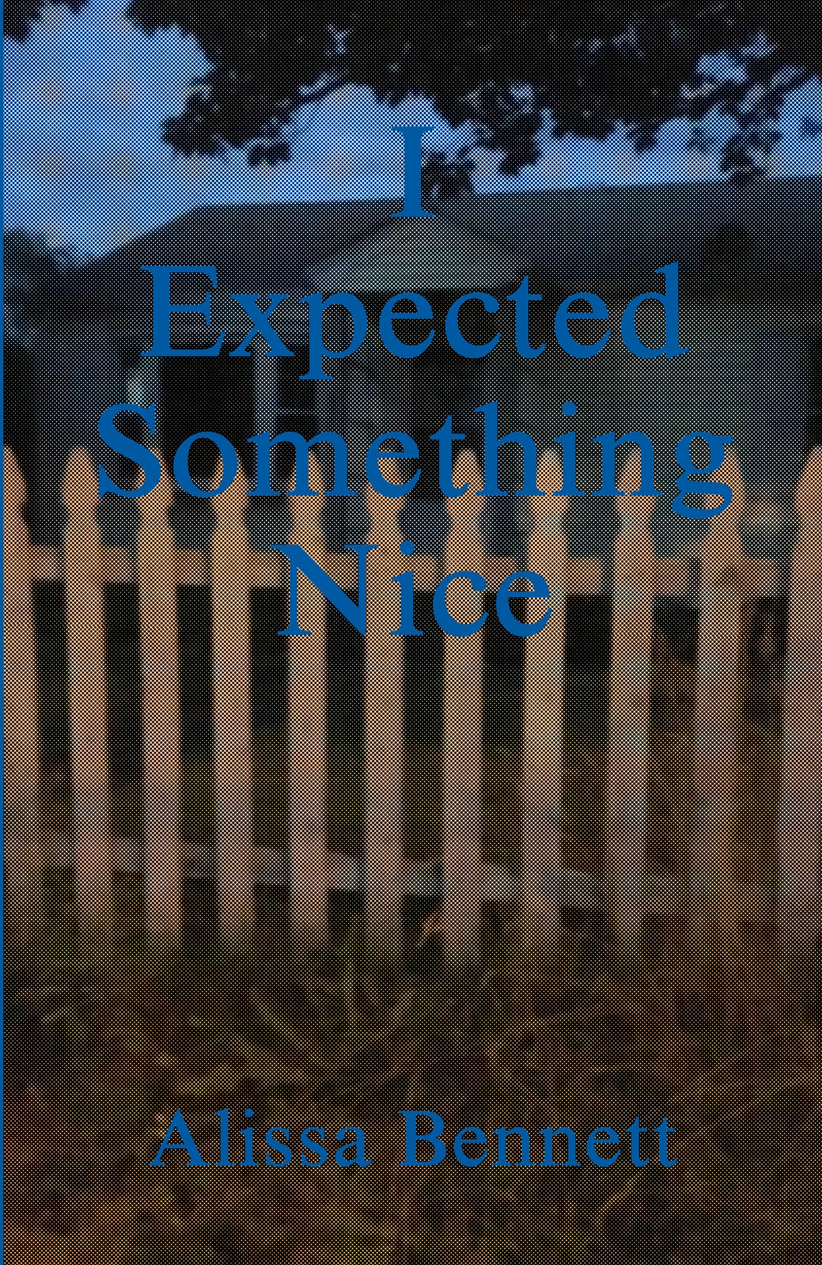 Alissa Bennett - I Expected Something Nice