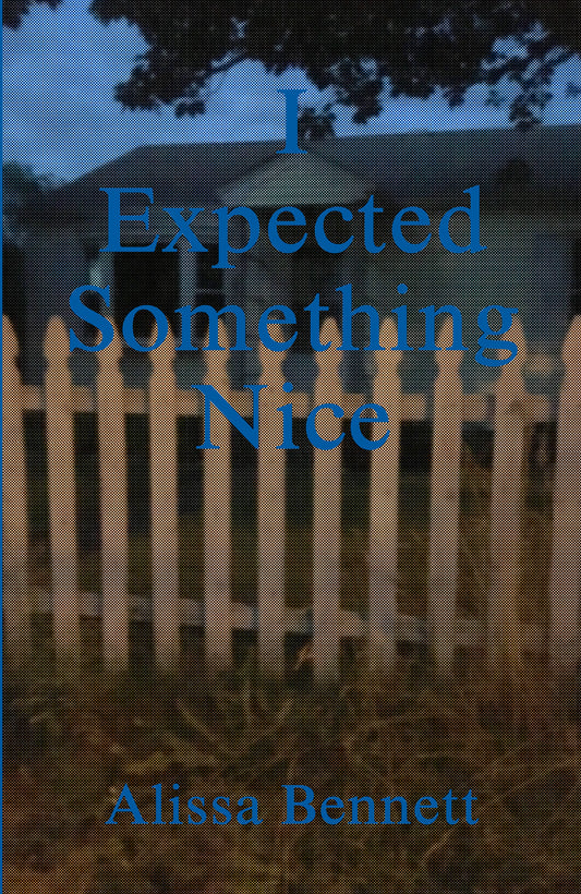 Alissa Bennett - I Expected Something Nice